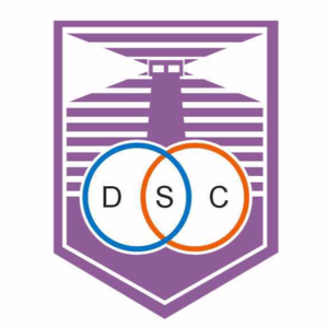 塞罗拉尔戈后备队